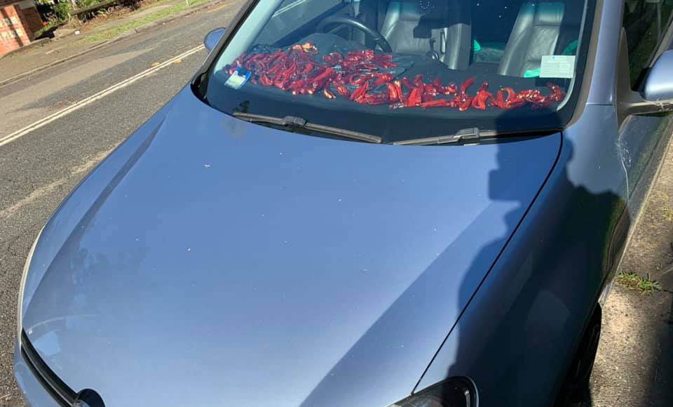 Photo Courtsy : Aluri Rahul Chowdhary