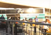 Australian cricketers return home