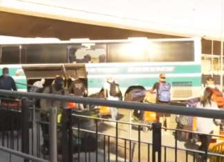 Australian cricketers return home