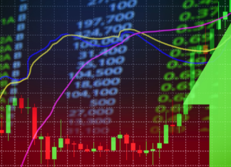 Representative Picture; Market @Canva