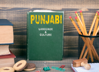 Piture Source: Canva Pictures