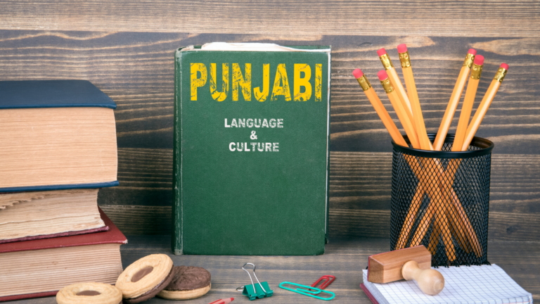 Guru Nanak Dev University launches online courses for the worldwide Punjabi diaspora