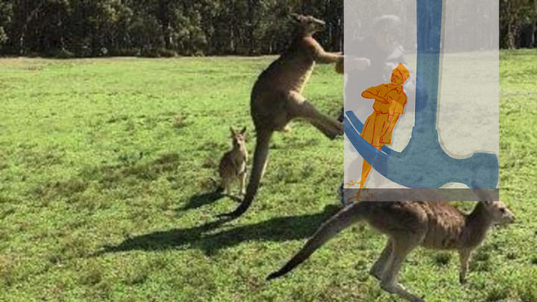 “Kick Hinduphobia Out of Australia”