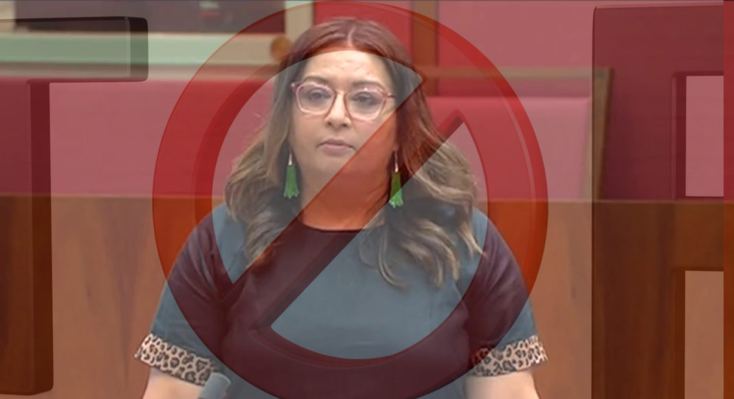 Greens Senator Mehreen Faruqi; Picture Source: Screenshot Paliamentry Debate