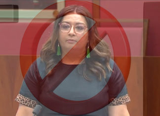 Greens Senator Mehreen Faruqi; Picture Source: Screenshot Paliamentry Debate