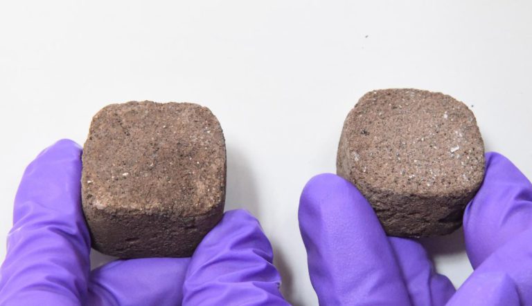 Indian scientists develop ‘space bricks’ to build homes on Mars