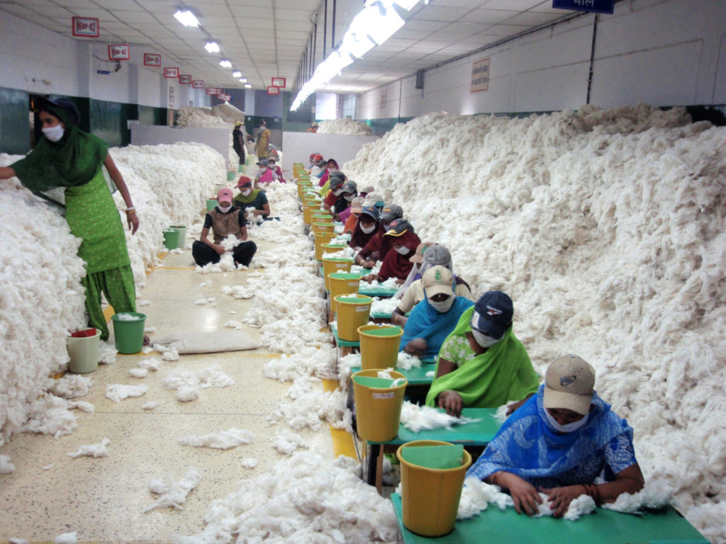 CSIRO ScienceImage 10736 Manually decontaminating cotton before processing at an Indian spinning mill 1
