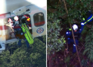 Two bushwalkers dead after landslide hits in Blue Mountains near Sydney