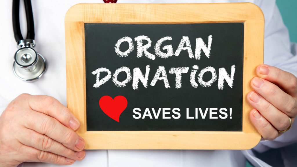 Organ donation 3