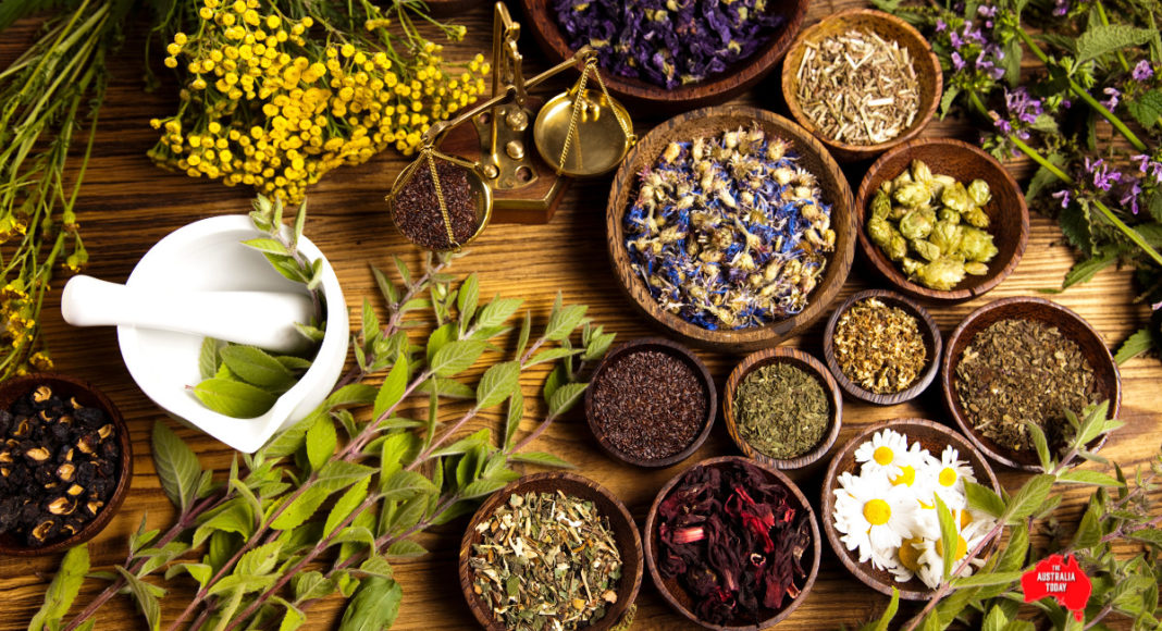 Ayurveda; Image Source: @CANVA