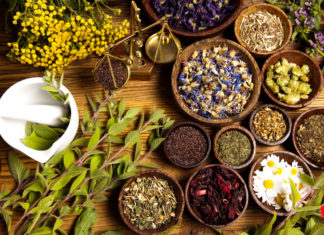 Dismantling targeted, falsified and non-factual claims about Ayurvedá Ayurveda; Image Source: @CANVA