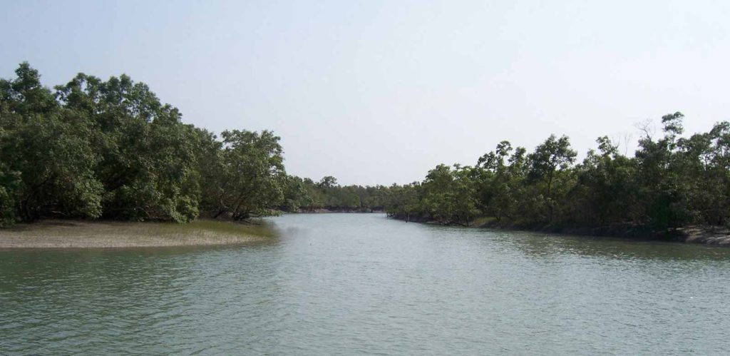 Woman swims 22 miles to marry boyfriend she met on Facebook 3 Sundarban river 3