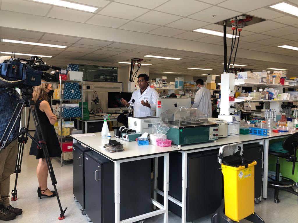 Australian researchers' diabetes breakthrough could eliminate need for daily insulin injections 4 Euy LzuVoAUdyi6 4