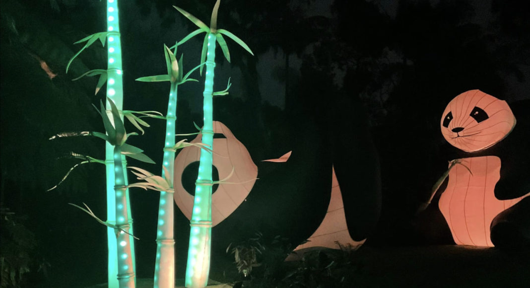 Image Source: The Australia Today