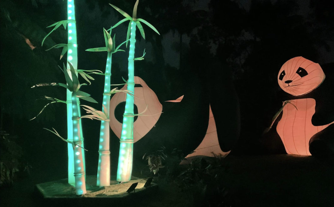 Image Source: The Australia Today