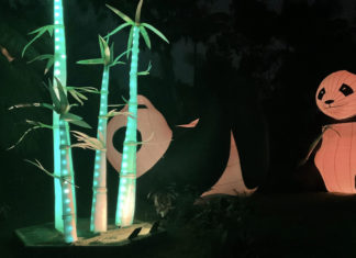 Image Source: The Australia Today