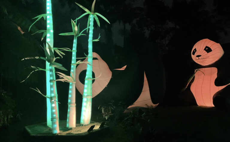 In a cold July, Adelaide comes to life with art of light, sound and movement