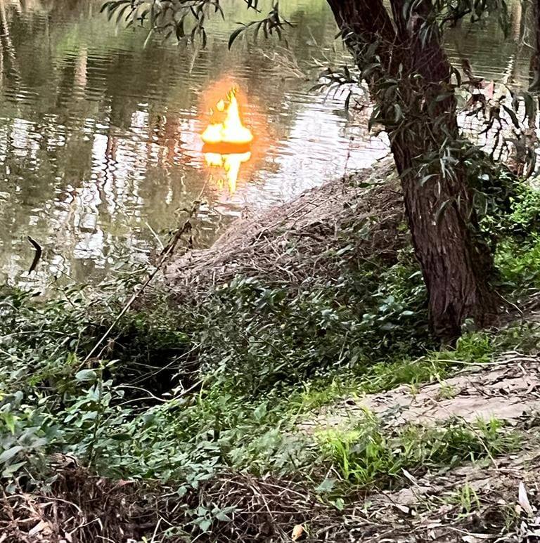 288297289 3188366254823660 5008494724779763840 n 21