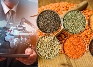 India extends zero-tariff rate for Australian lentils, here are details Lentil export; Image Source: @CANVA