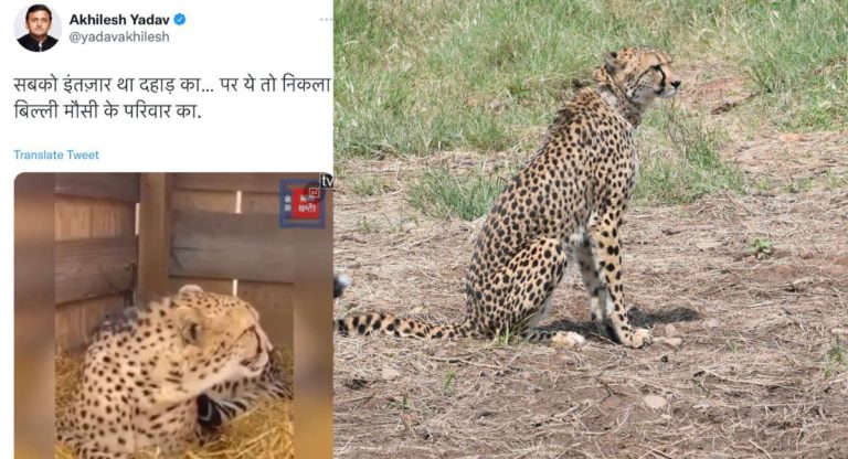 Netizens laugh as Australian alumni with Master’s in environment study doesn’t know if Cheetah’s roar or meow