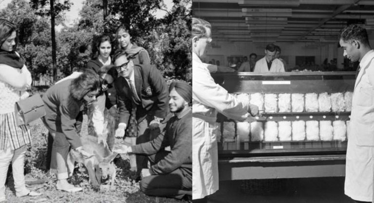 Do you know when Australia officially allowed Indian students?