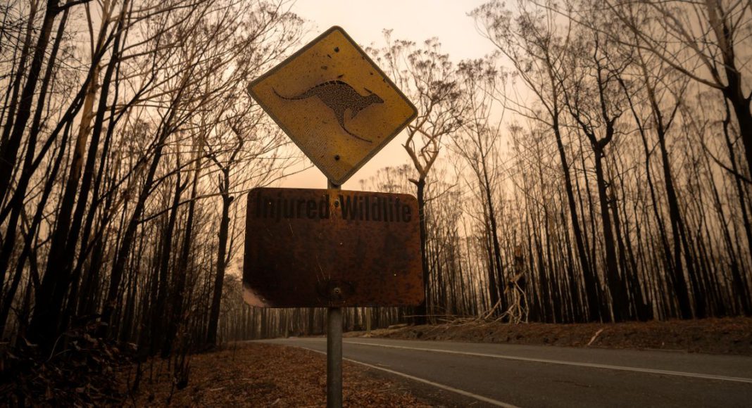 Bushfire (image source: CANVA)