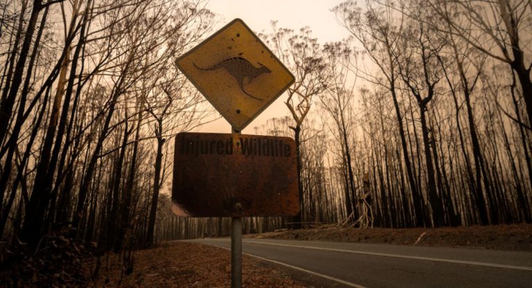 Summer is coming: Melbourne now has chief heat officers