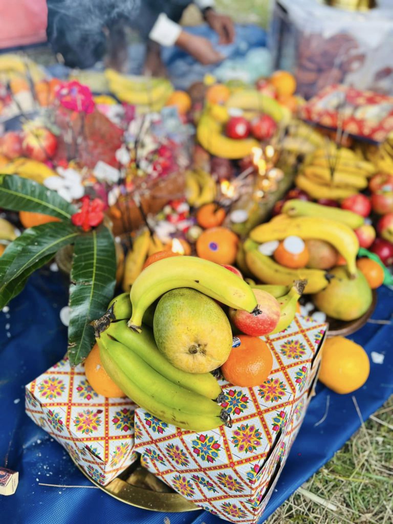 311815769 1496025357547087 3210153909431733238 n 7