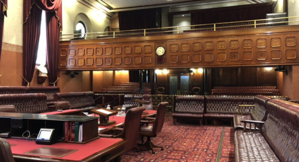 Cricket 1200 × 650 px 1200 × 650 px 1 2