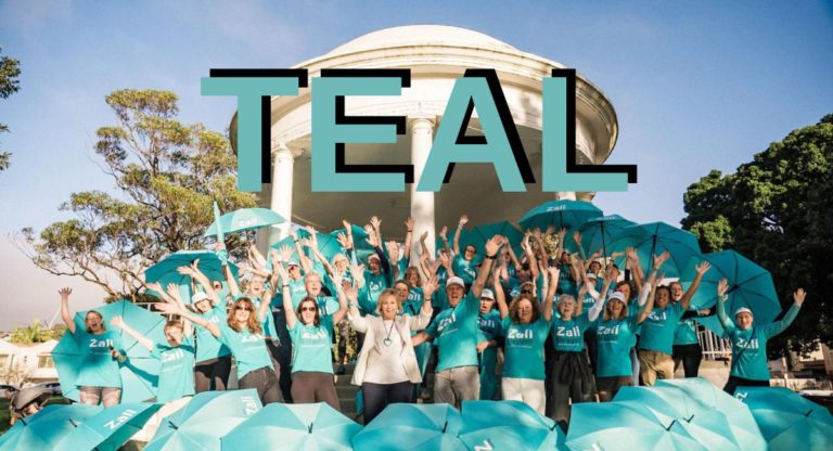 ‘Teal’ named Australia’s Word of the Year