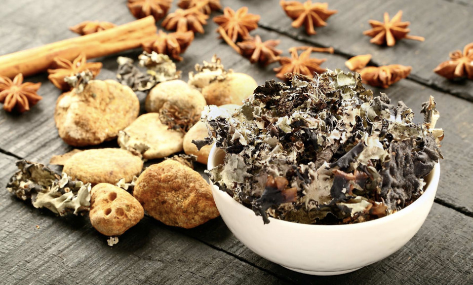 Screen Shot 2023 01 25 at 2.57.05 pm 4