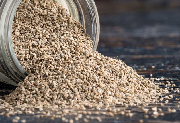 Screen Shot 2023 01 25 at 2.59.31 pm 7