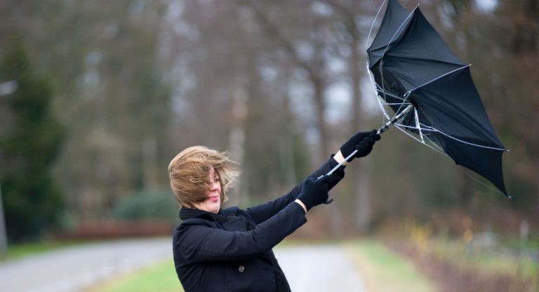 Where does wind actually come from?