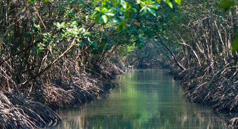 A glimmer of hope amid climate crisis