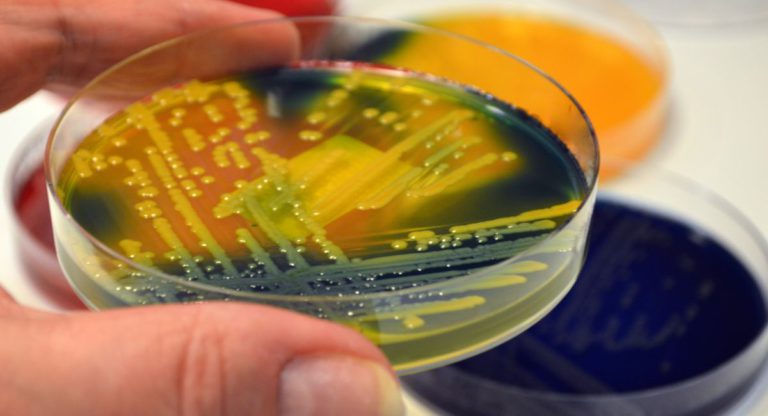 Climate change is fuelling the rise of superbugs. What can we do to save ourselves?