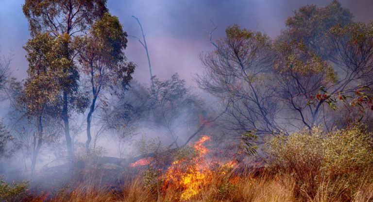 Improving fire risk management in Nepal through joint collaboration with Australia