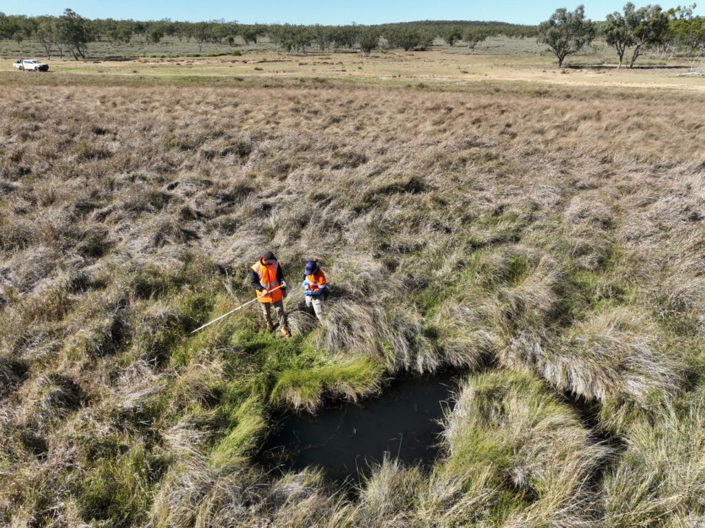 The Moses spring is located on a cattle property in the local area. 1