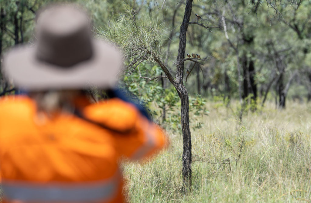The research team conducting vegetation surveys as part of five-year long Black-throated Finch study at Carmichael Coal Mine, QLD - Photo: Cameron Laird