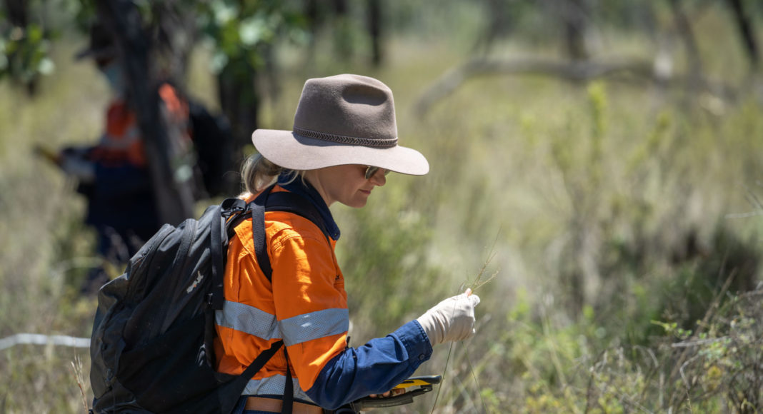 Research ecologists observing a group of Black-throated Finches on Bravus Mining and Resources’ 33,000-hectare conservation area at Carmichael Coal Mine, QLD - Photo: Cameron Laird