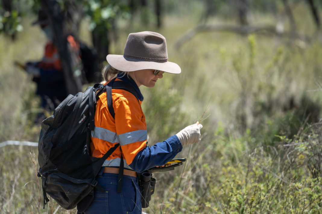 Research ecologists observing a group of Black-throated Finches on Bravus Mining and Resources’ 33,000-hectare conservation area at Carmichael Coal Mine, QLD - Photo: Cameron Laird