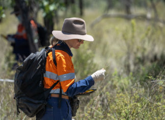Research ecologists observing a group of Black-throated Finches on Bravus Mining and Resources’ 33,000-hectare conservation area at Carmichael Coal Mine, QLD - Photo: Cameron Laird