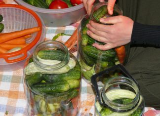 ‘I trained to be an engineer … now I am a pickle seller’. What does migration do to a wife?