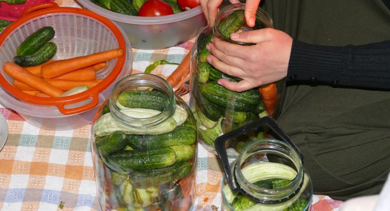 ‘I trained to be an engineer … now I am a pickle seller’. What does migration do to a wife?