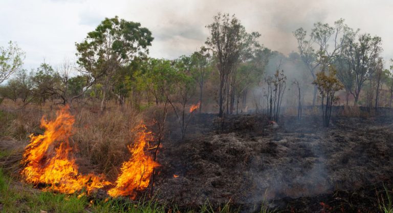 Did you know Indigenous burning helped suppress bushfires 10,000 years ago?