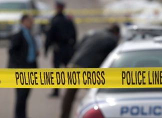 AFP launches new technology platform to manage investigations into the next decade