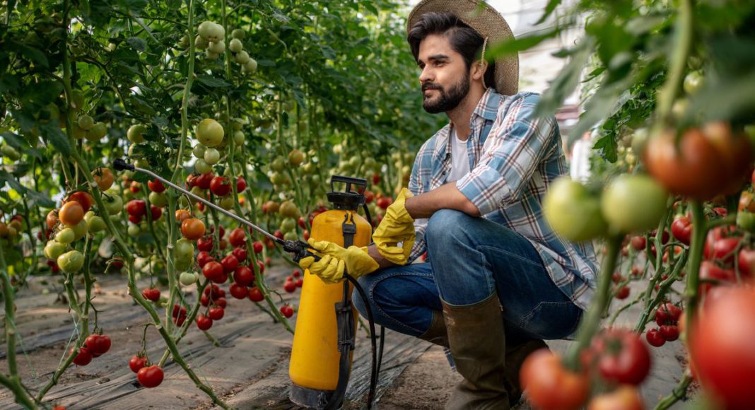 Image: Farm worker (Source: CANVA)