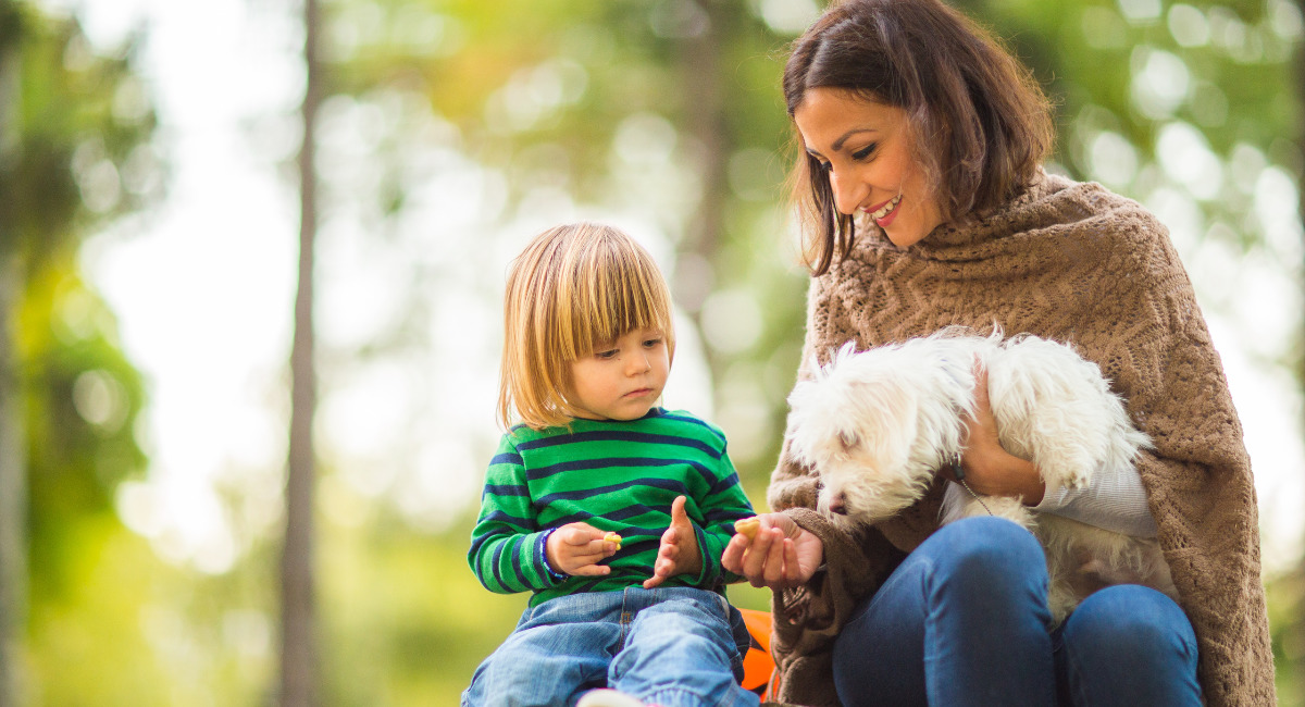 major-change-to-single-parenting-payment-cut-off-age-raised-to-14-year