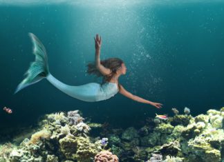 Do you know about these Mermaid-like creatures in mythologies?