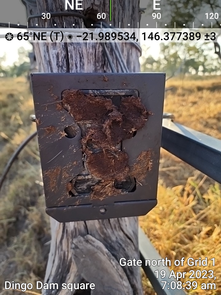 The damaged camera 1