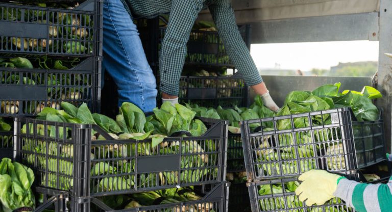 Farm business that allegedly underpaid migrant workers to face court